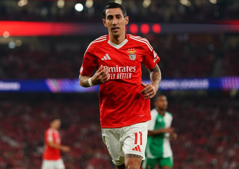 Trở Lại Benfica – Hành Trình Khép Lại